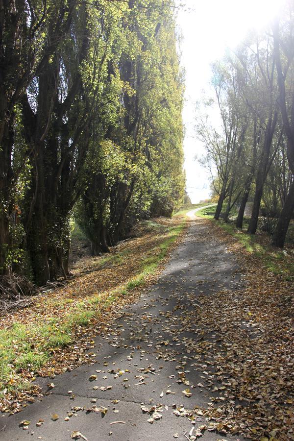 Refreshstay Palmerston North Eksteriør billede
